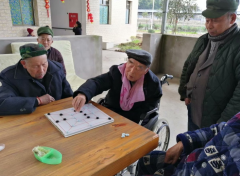 老年活动一