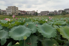 环境一