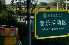 环境十一